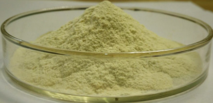 China Nattokinase 2000fu/g-20000fu/g UV leverancier