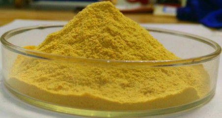 China Berberine 60-85% HPLC, 97% CP2005 leverancier